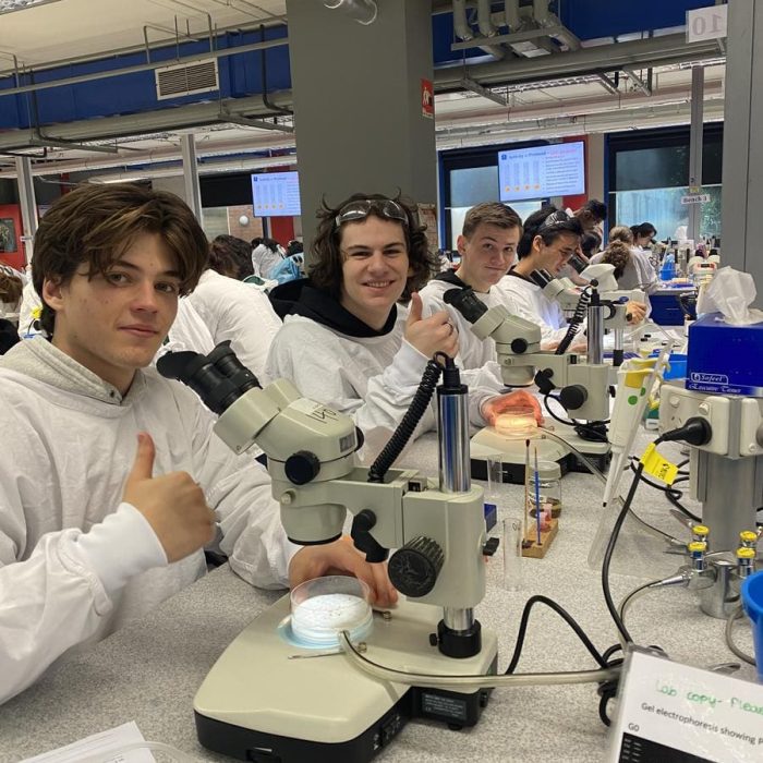 vce biology